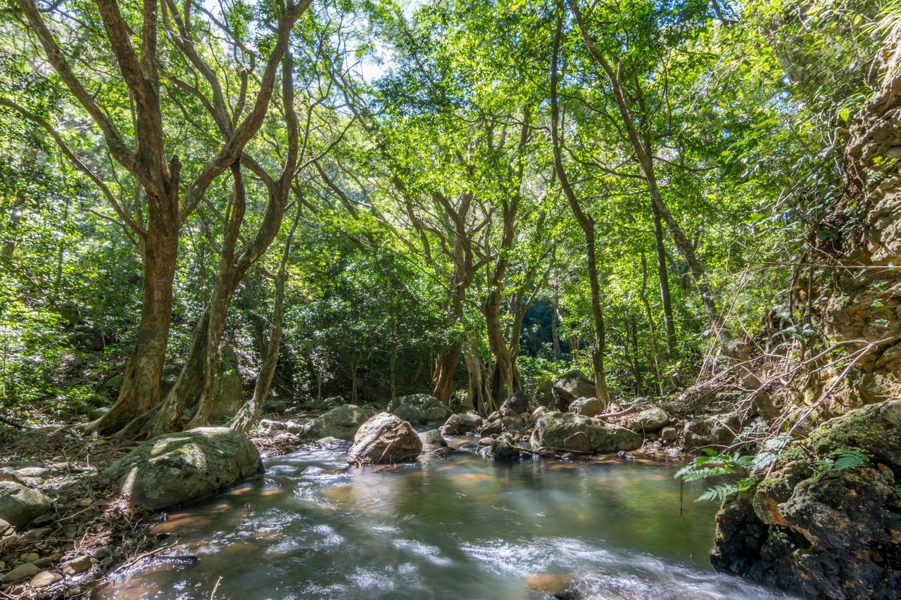 Rinconcito Lodge Hacienda Santa María Dış mekan fotoğraf